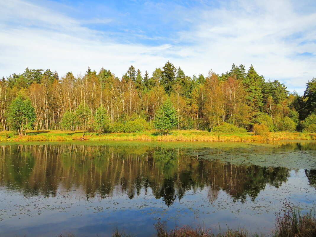 Спокойствие осени - Андрей Снегерёв