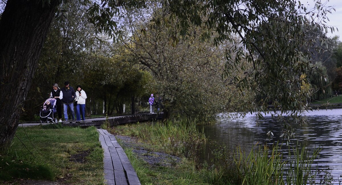 Осенний парк. - Василий Палий