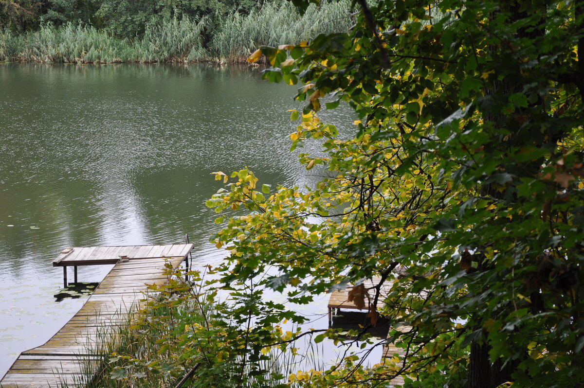 Опустели причалы - Татьяна Машошина