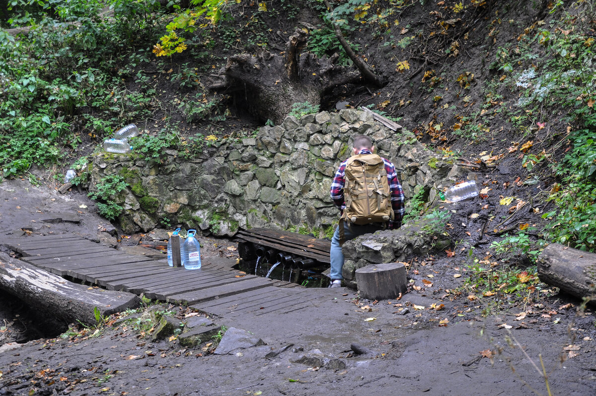 Родник с чистейшей водой - Татьяна Машошина