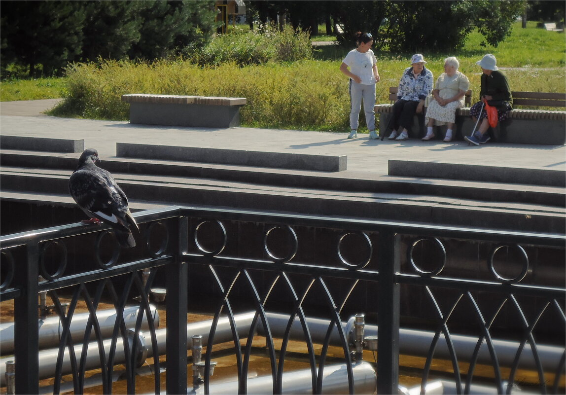 о чём воркуют? - sv.kaschuk 