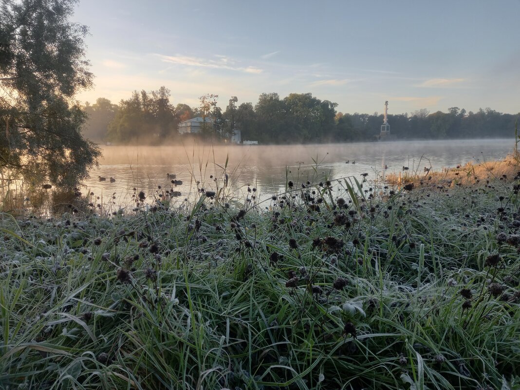 Заморозок - Сапсан 