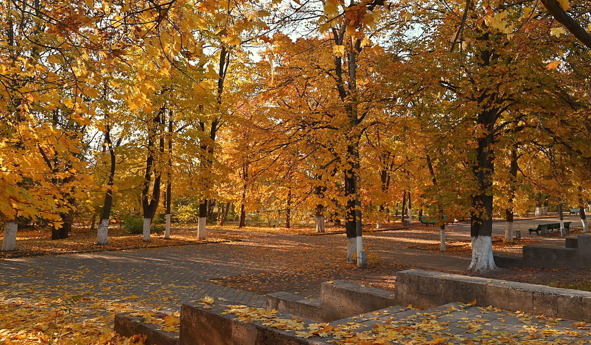 Листва - B razk