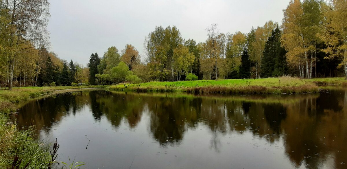 Осенний Павловск - Наталья Герасимова