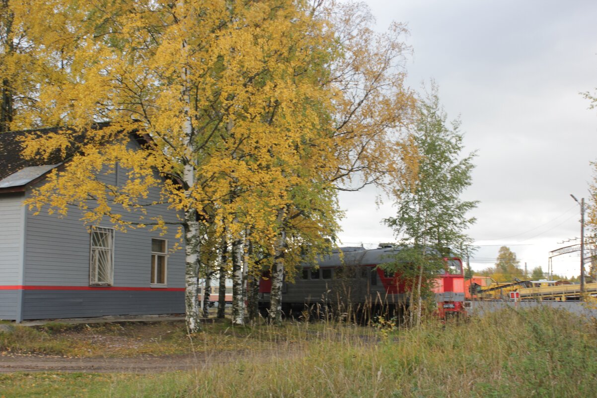 Осенним днём - Сергей Кочнев