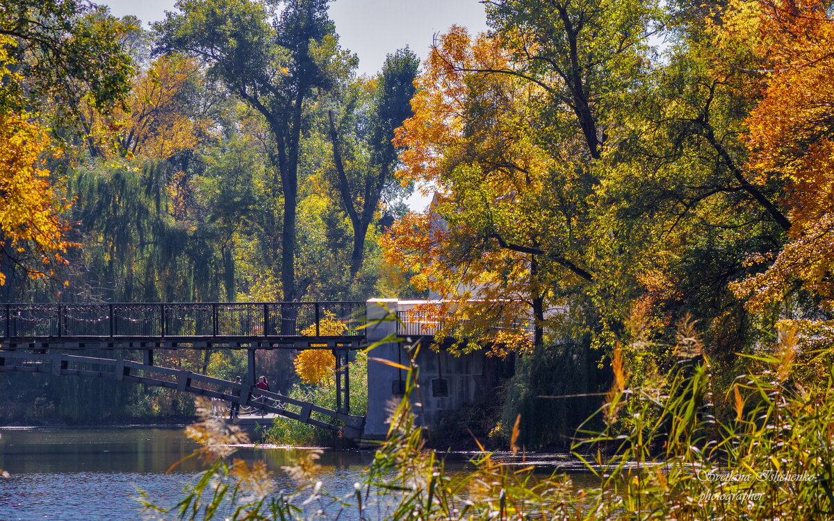 Осень - Светлана Ищенко