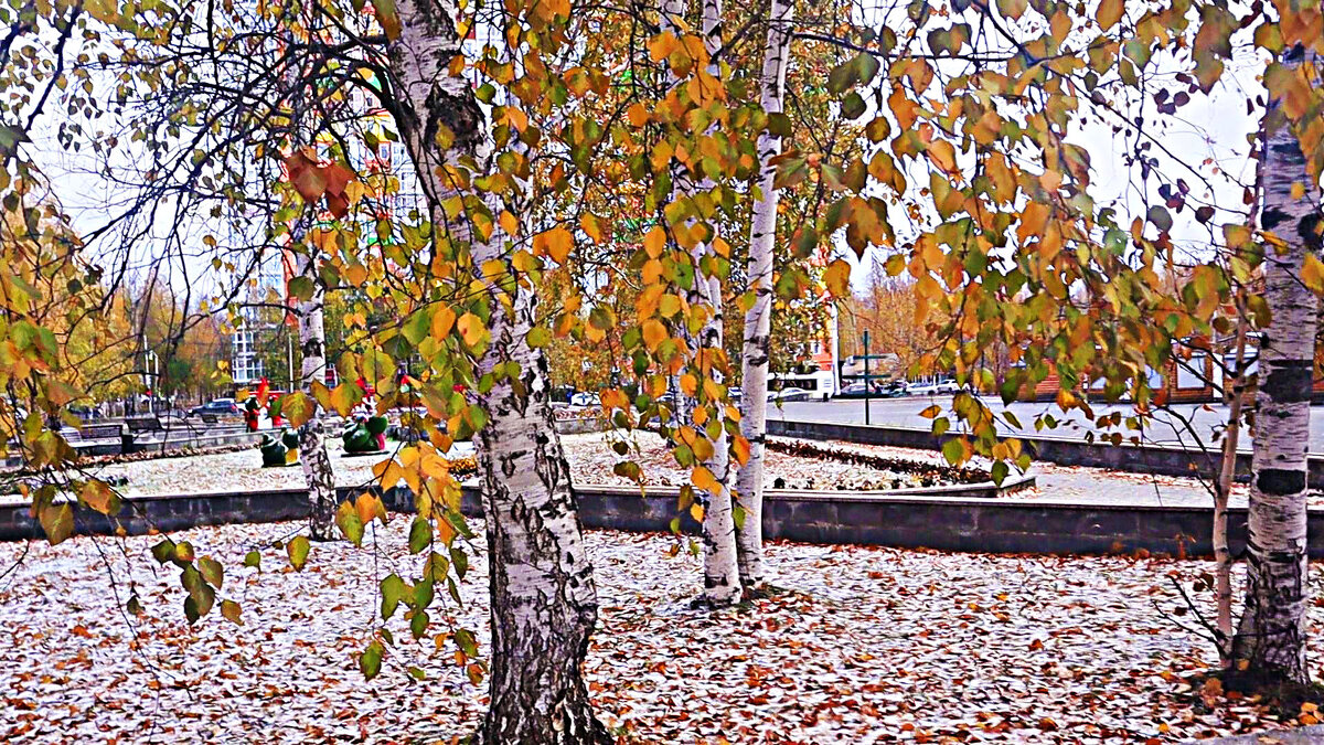 Октябрь...Первый снежок выпал! - Владимир 