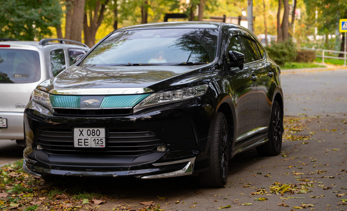 Японские машины - Вячеслав Дроздов