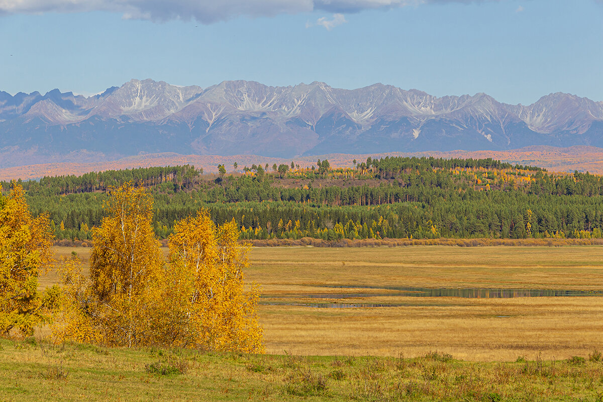 Краски осени - Ирина Коледова Краски осени - Ирина Коледова