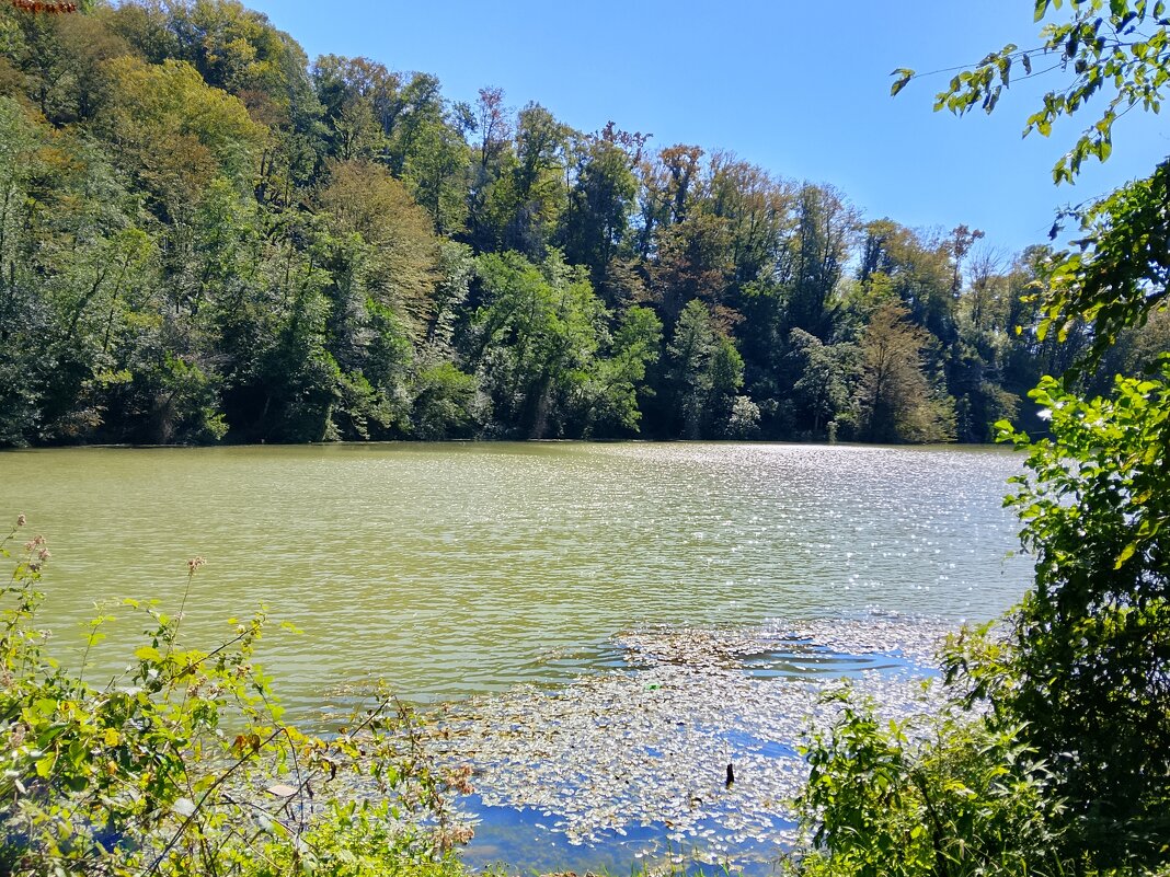 Министерские озёра - Tata Wolf