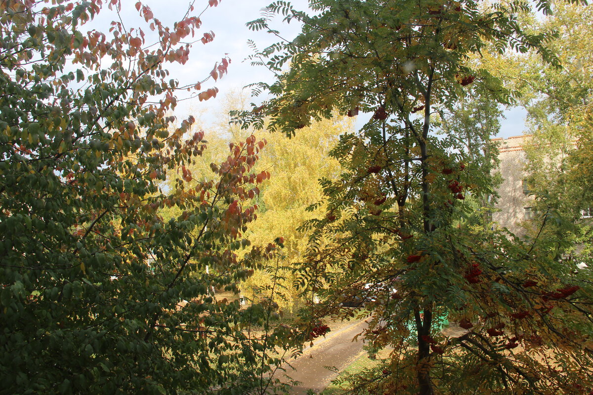 Золотая осень - Венера Чуйкова