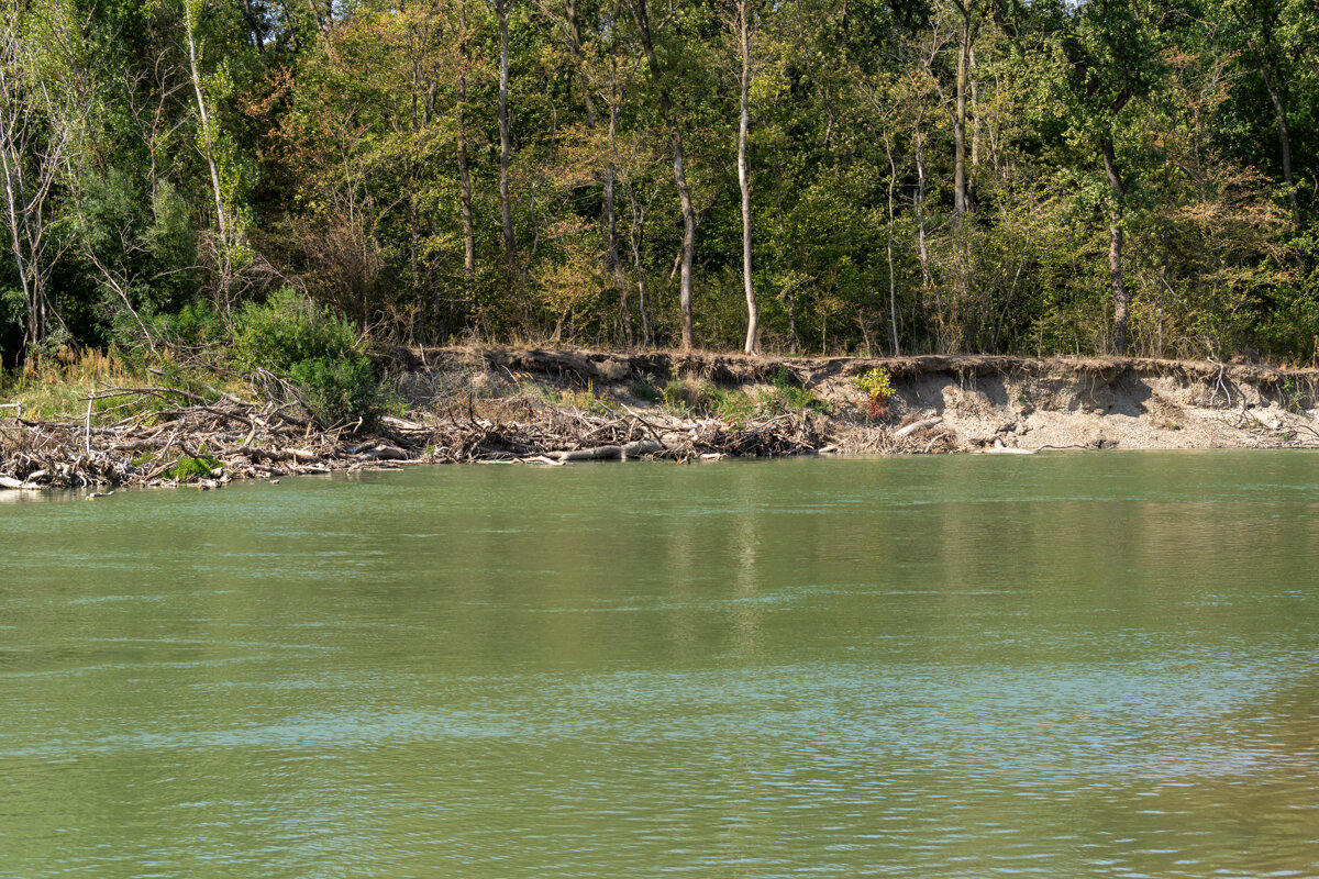 Река Кубань - Игорь Сикорский