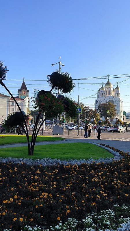 Утренняя прогулка по Калининграду. - Ольга 