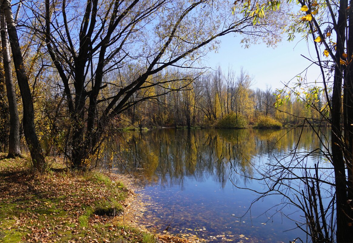 Осеннее настроение - Наталия Григорьева Осеннее настроение - Наталия Григорьева