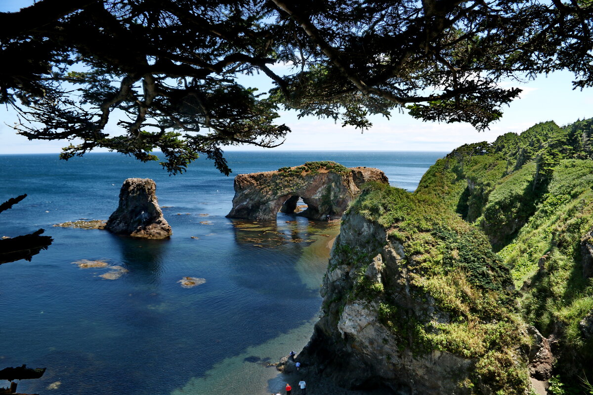 Путешествие на мыс Великан и Птичий. - Ирина Нафаня