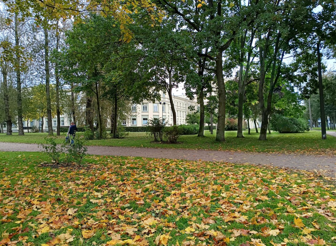 Падают жёлтые листья... - Мария Васильева Падают жёлтые листья... - Мария Васильева