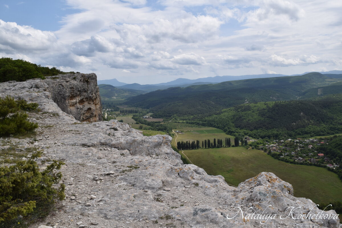 Природа Крыма - Amazing Cosmea