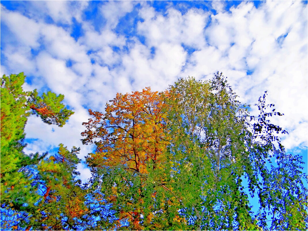 ЭТЮД - Юрий Владимирович 34