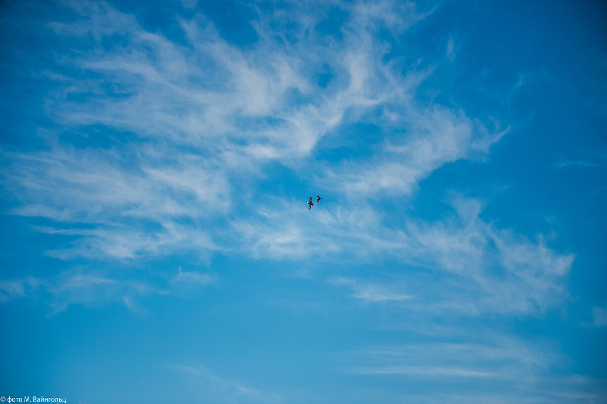 Воздушный бой (серия) - Михаил 