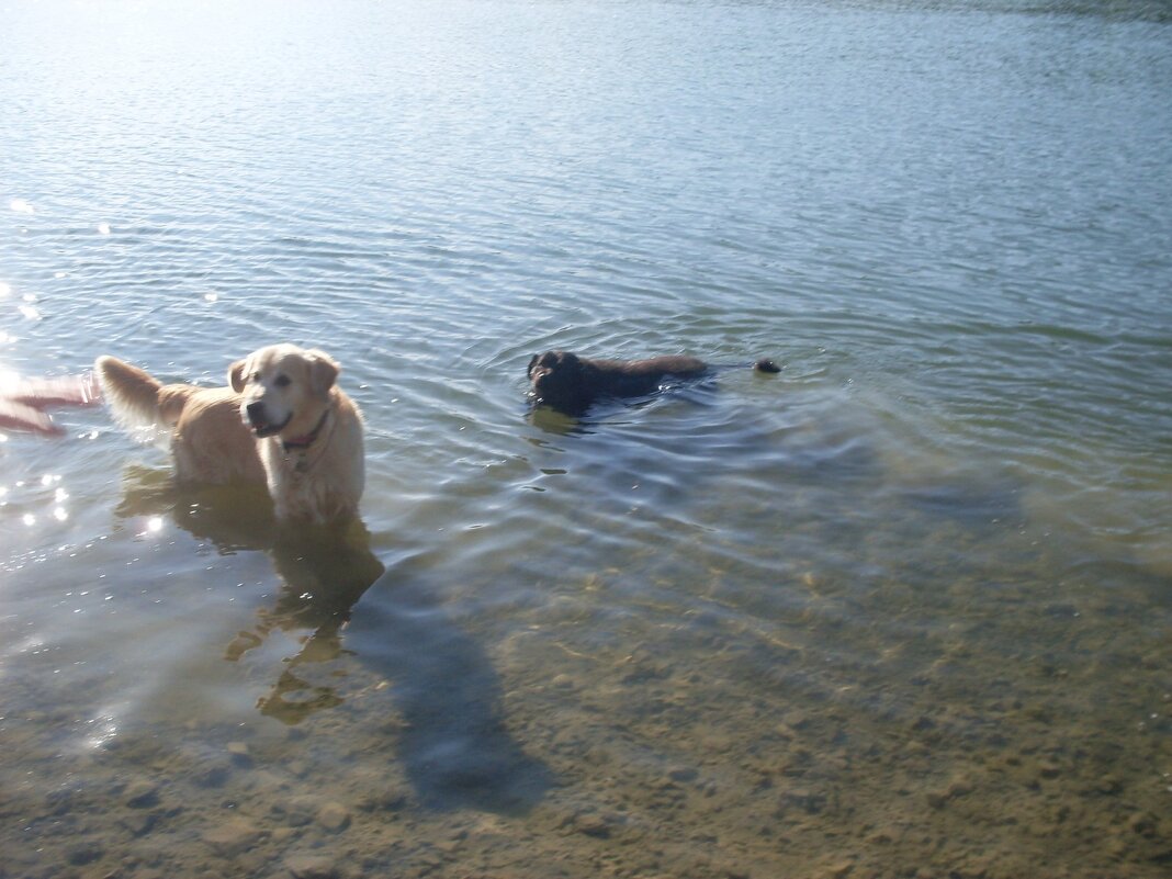 ДНЕВНОЙ ЗНОЙ - СЕРГЕЙ ФИЛОЧКИН