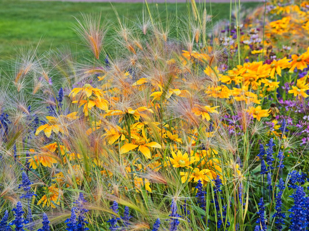 *** - Witalij Löwin