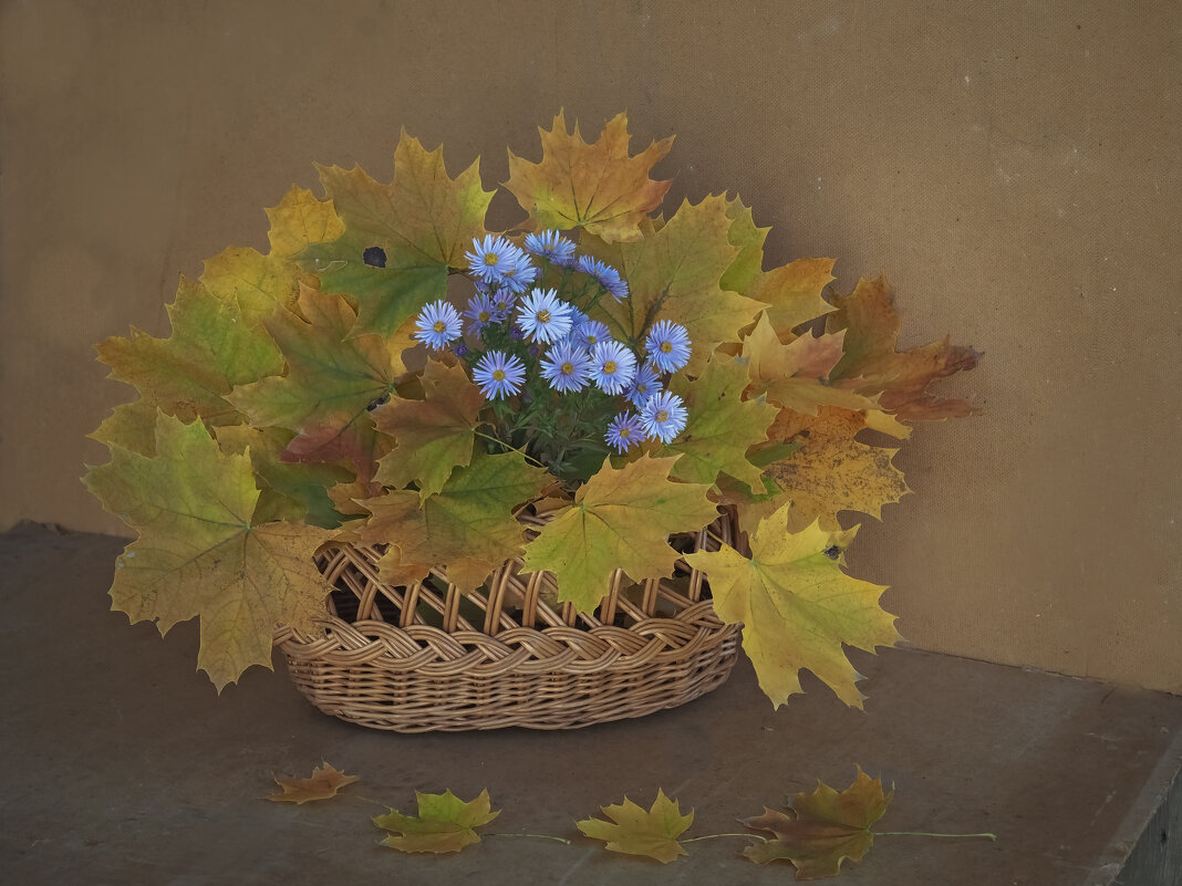 осень - Александра [-/