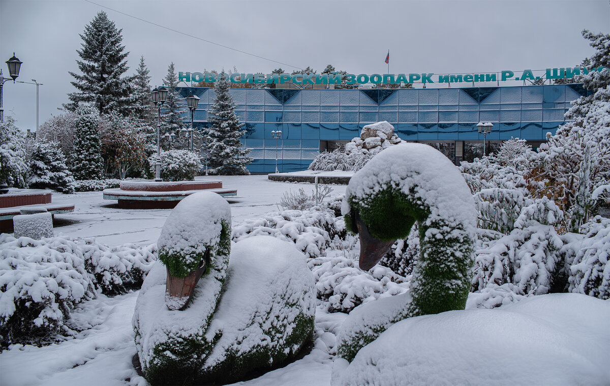 Первый снег.05.10.2025г. - Михаил Измайлов