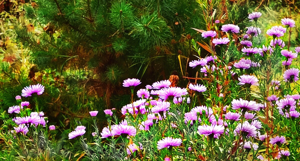 А у нас и в октябре всё ещё лето! - veilins veilins