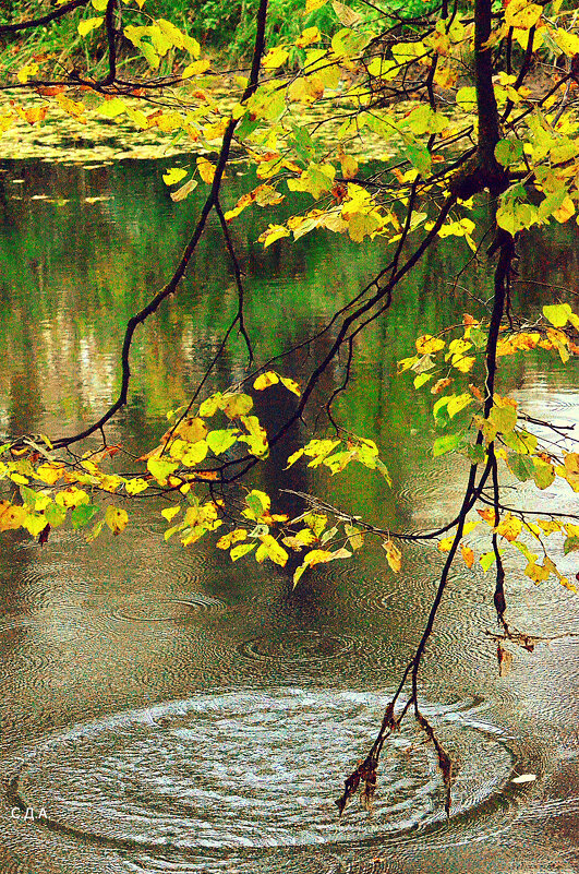 Осень.... просто осень! - Дмитрий 