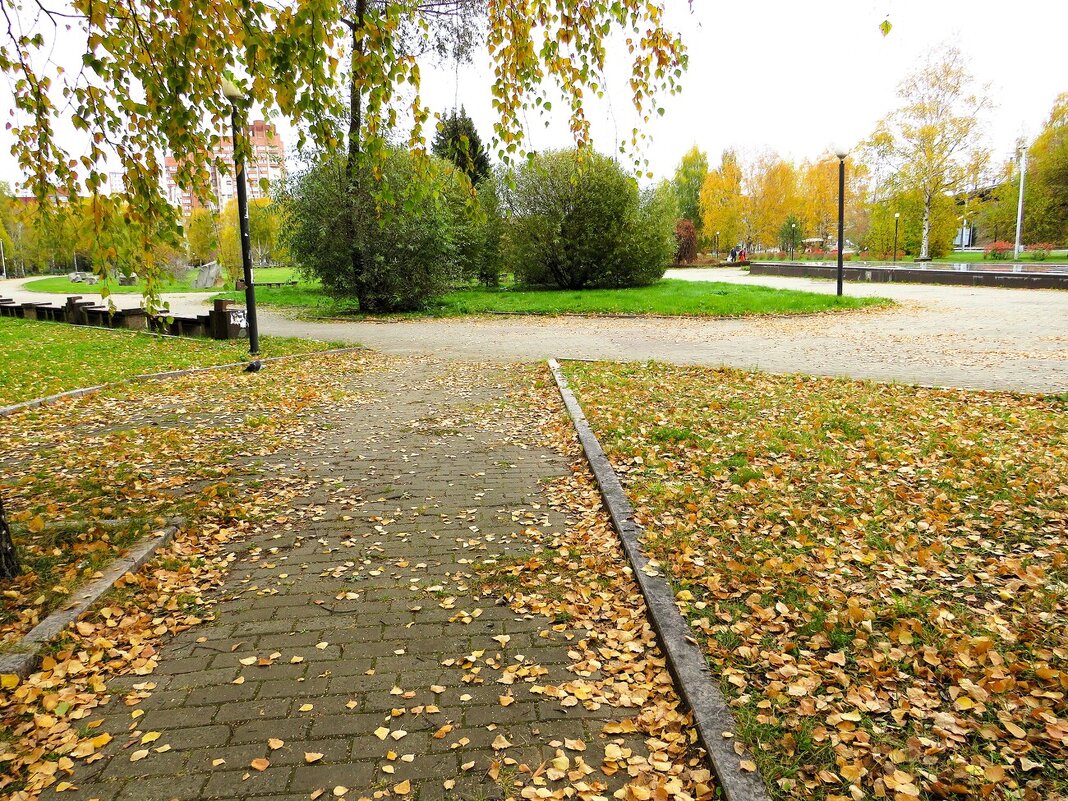 Осень в городе - Лариса С.