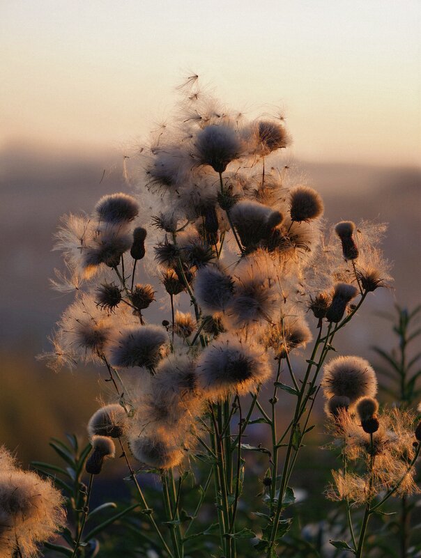 ** - Борис Руднев
