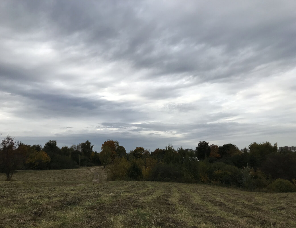 По осеннему пасмурно - Лариса Корж