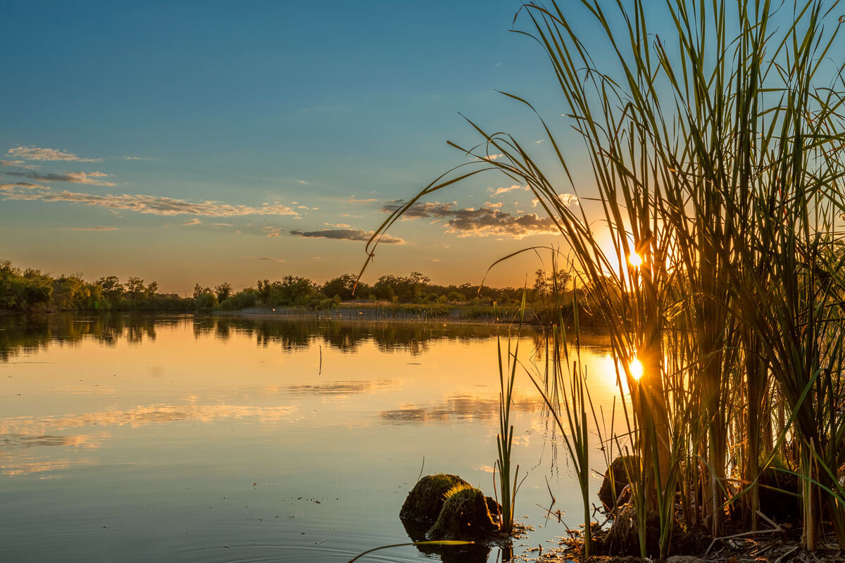 Природный парк Волго-Ахтубинская пойма. - Дина Евсеева