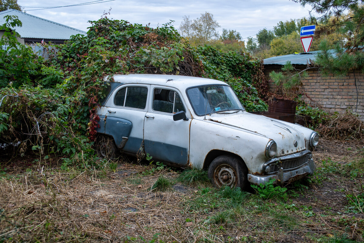 Раритет - Владимир Иванович