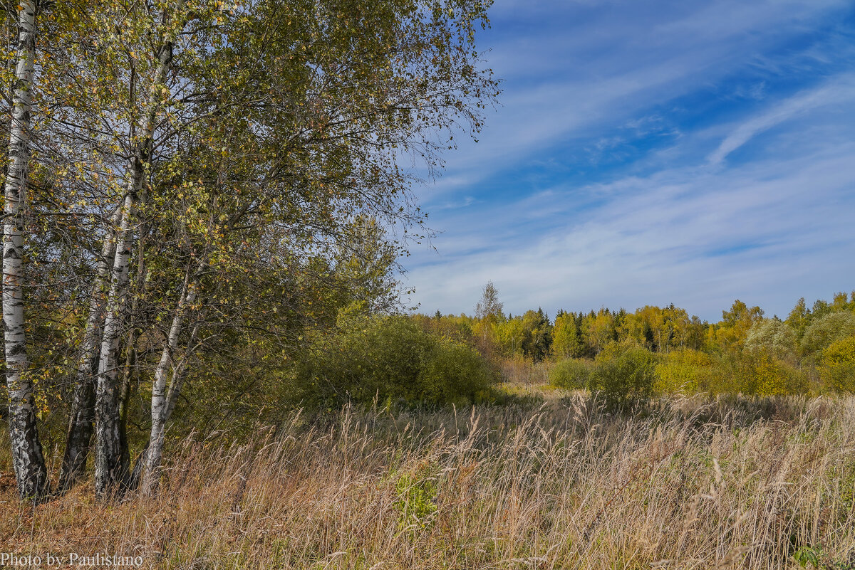На опушке... - Владимир Жданов