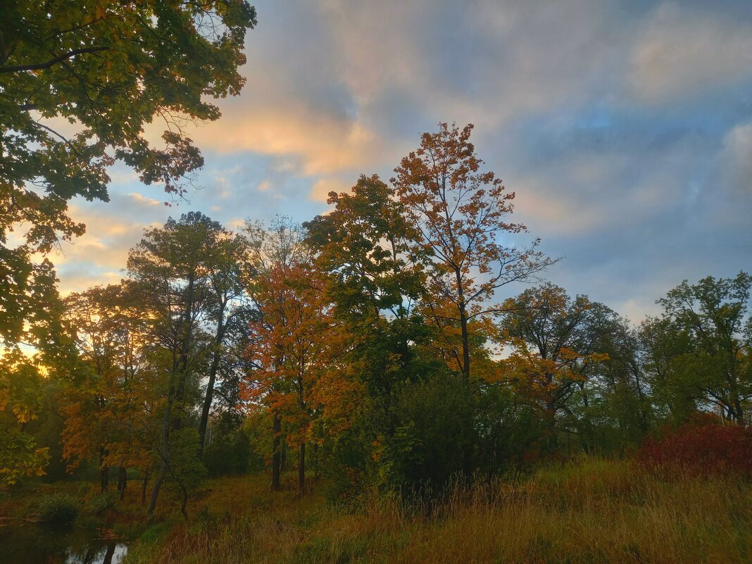 Закат - Сапсан 