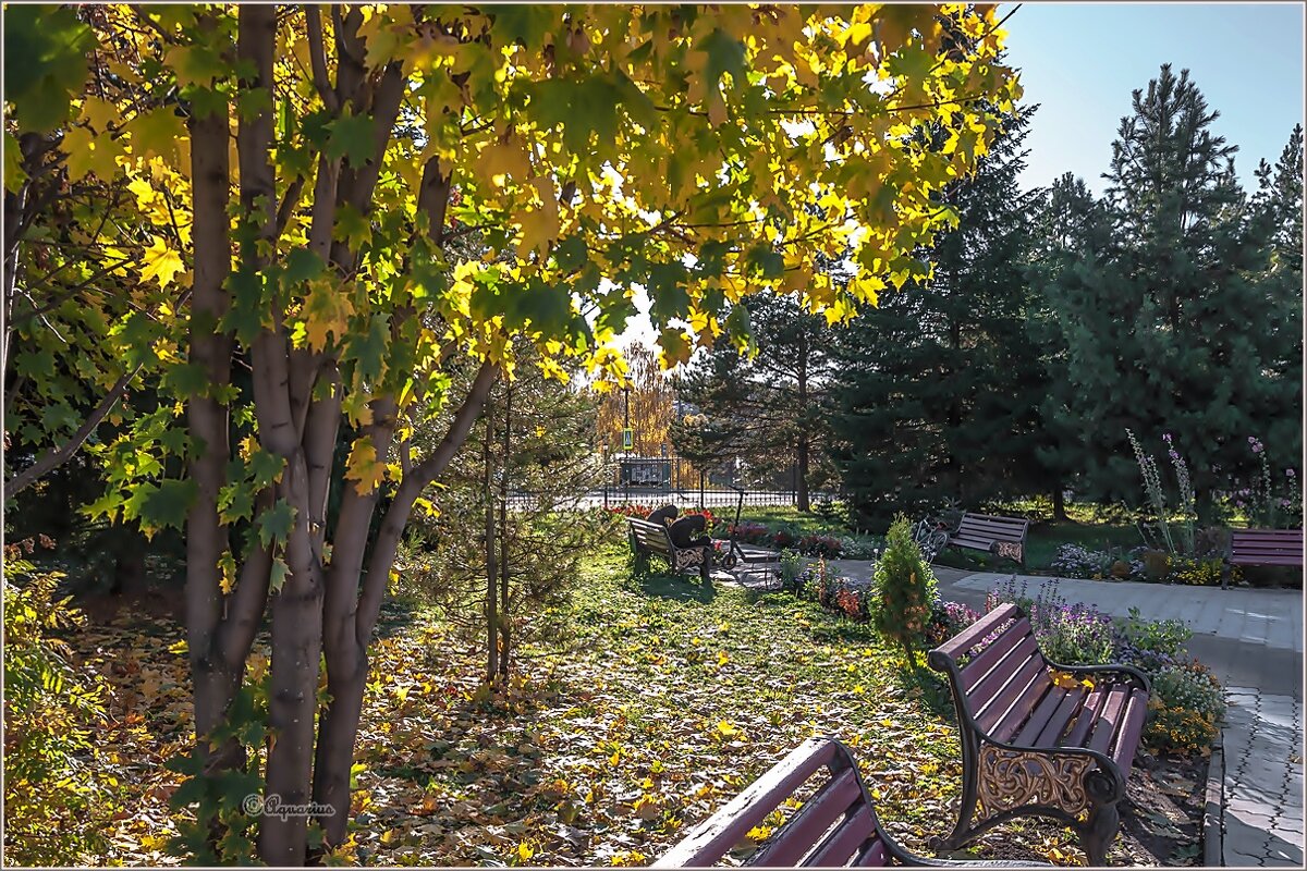 Сентябрьский вечер... - Aquarius - Сергей