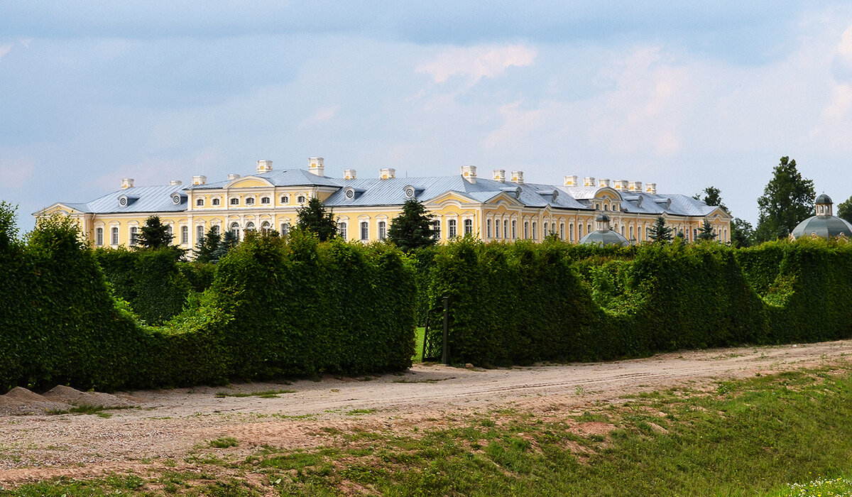 За живым забором - Регина За живым забором - Регина