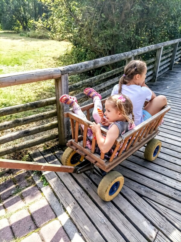 Прогулка по зоопарку ) - Veera V