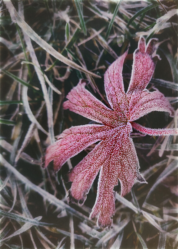 Замороженный - AZ east3