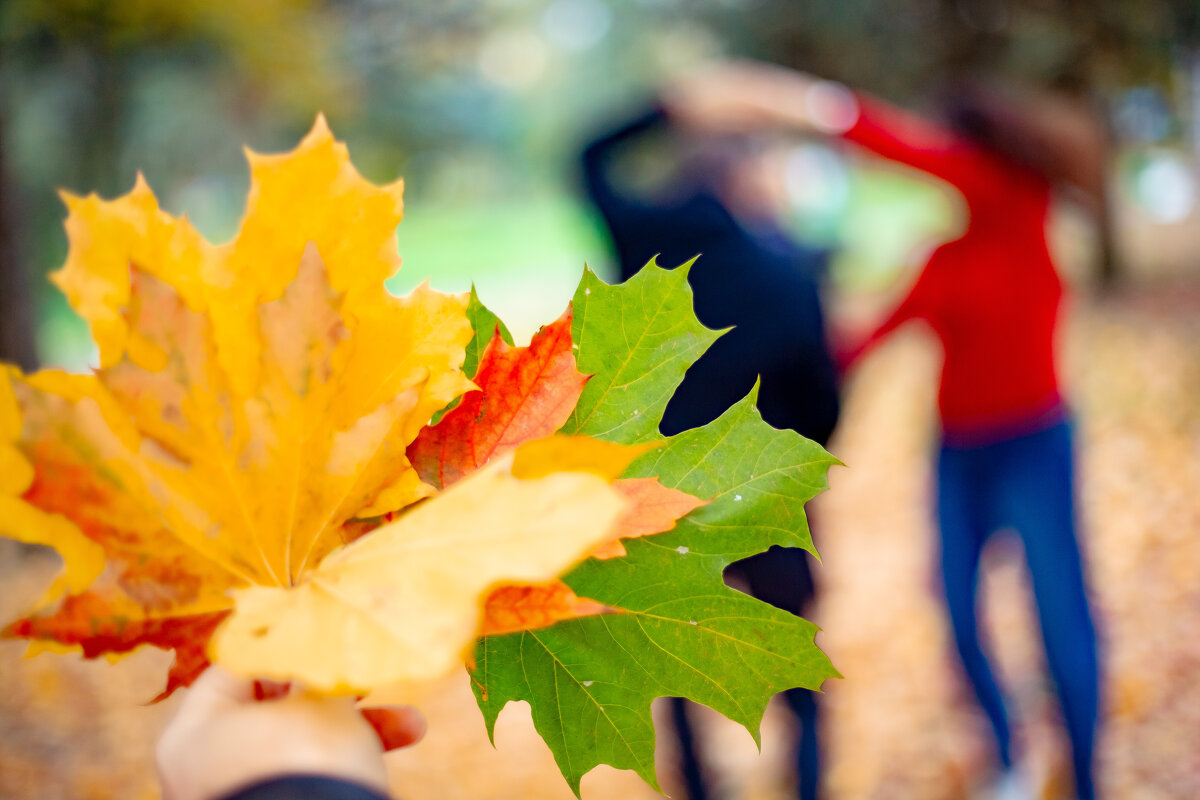 танцы осени - Serega Alucard X2