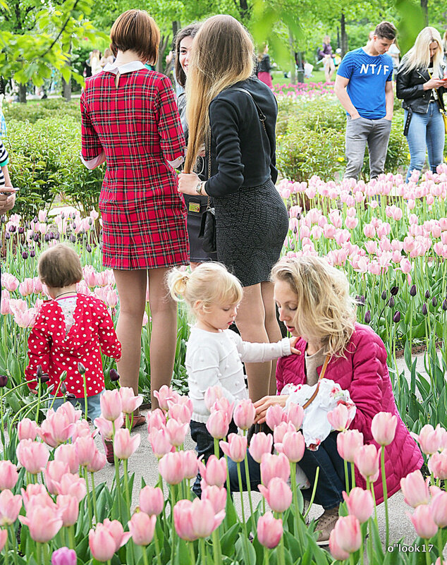 цветы и девчонки - Олег Лукьянов