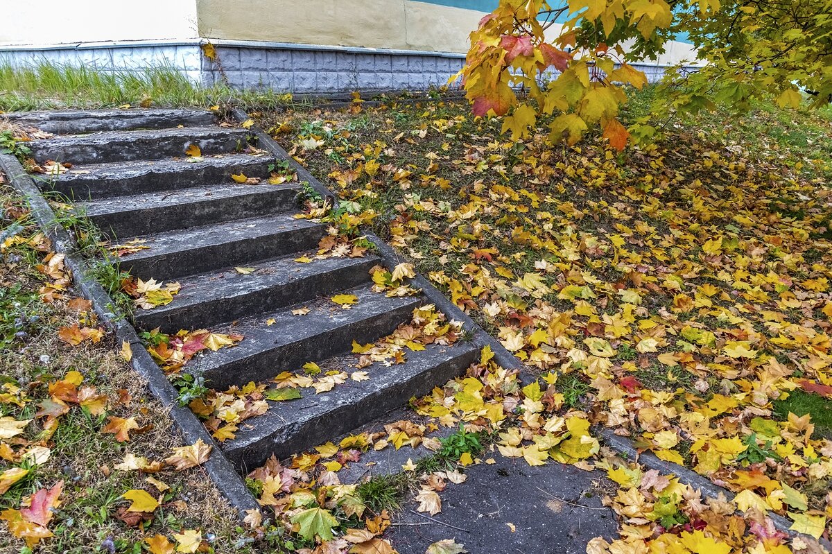 Осенние зарисовки - Валерий Иванович