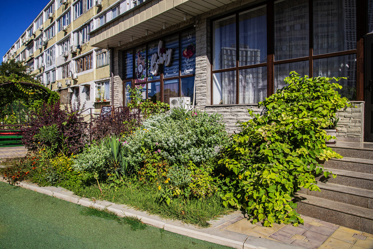 Дворик - Анатолий Чикчирный Дворик - Анатолий Чикчирный