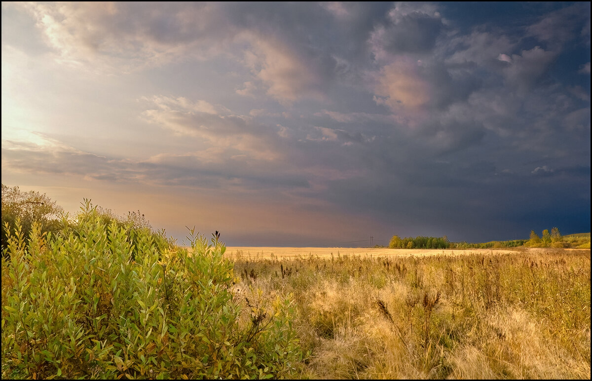 Осень - **** vedin Осень - **** vedin