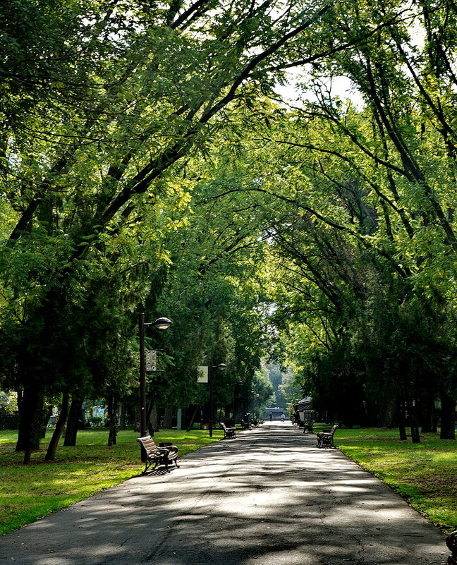 В парке... - Николай Саржанов