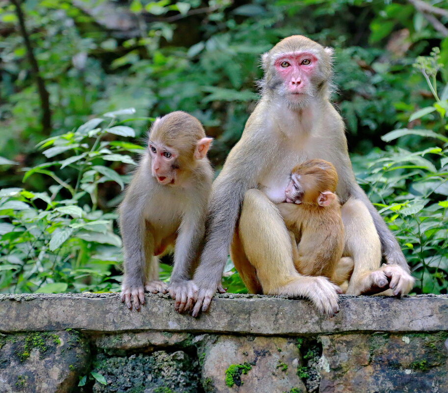 под надежной защитой... - Andrey Bragin 
