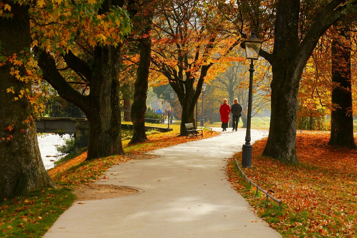 Лихтенталер аллея - Юрий. Шмаков