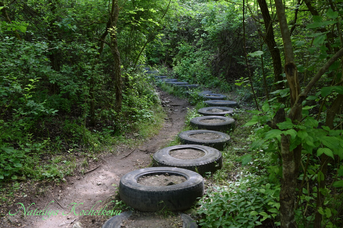 Природа Крыма - Amazing Cosmea