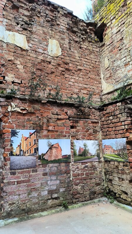 В замке Шаакен. - Ольга 